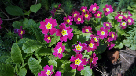 Similar image 2890336