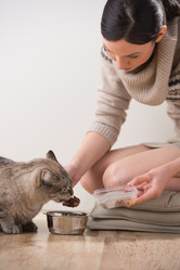 Similar image 2890400