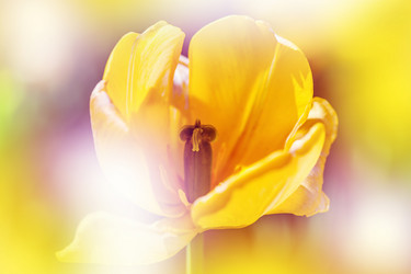 Similar image 2890460