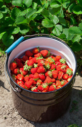 Similar image 2890481