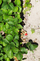 Similar image 2890502