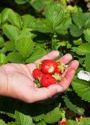 Similar image 2890503