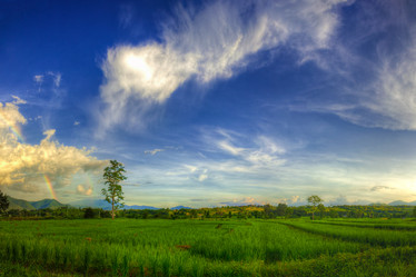 Similar image 2890782