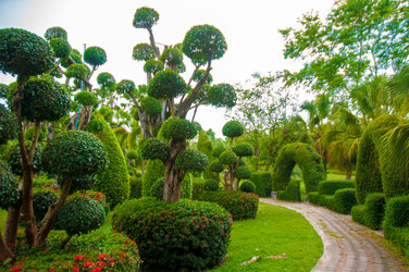 Similar image 2890785