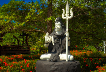 Similar image 2890822