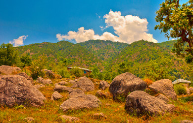 Similar image 2890846