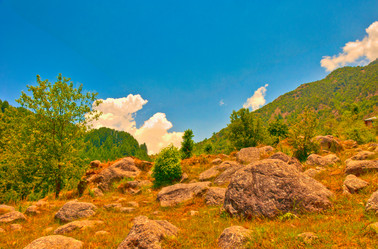 Similar image 2890851