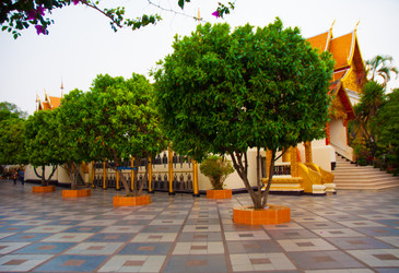 Similar image 2890868