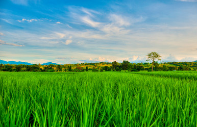 Similar image 2890870