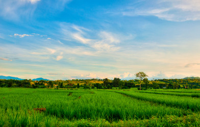 Similar image 2890871