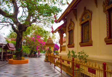 Similar image 2890876