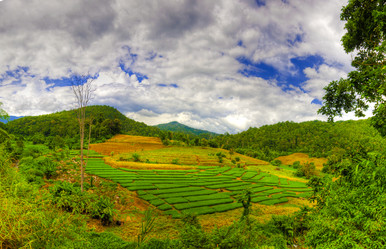 Similar image 2890878