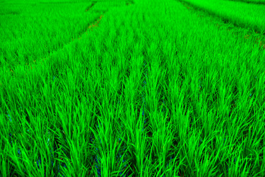 Similar image 2890892