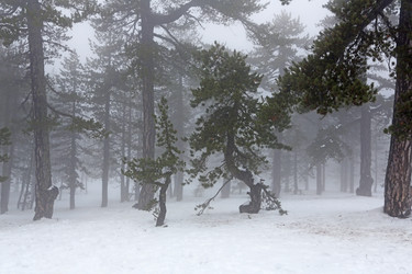 Similar image 2890894