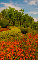 Similar image 2890935