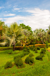 Similar image 2890941