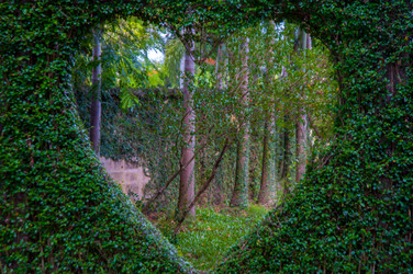 Similar image 2890942