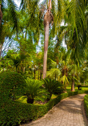 Similar image 2890944