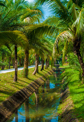 Similar image 2890946