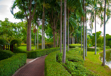 Similar image 2890956