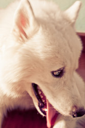 Similar image 2890963