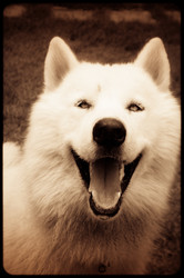 Similar image 2890971