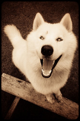 Similar image 2890973