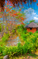 Similar image 2890995