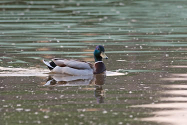 Similar image 2891052