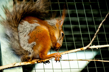 Similar image 2891056