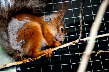 Similar image 2891057