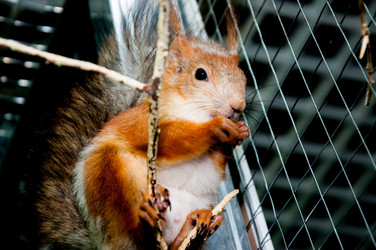 Similar image 2891059