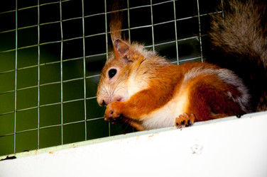 Similar image 2891061