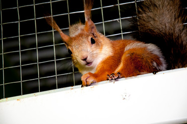 Similar image 2891062