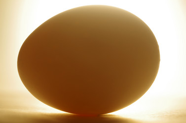 Similar image 2891100