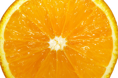 Similar image 2891101