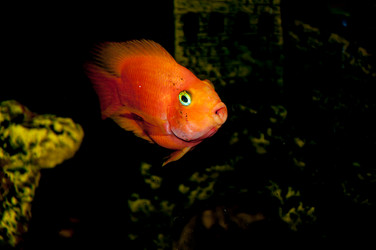 Similar image 2891107