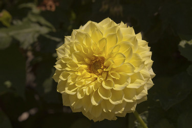 Similar image 2891140