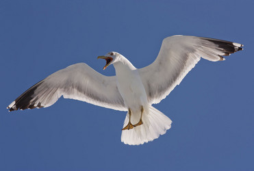 Similar image 2891143