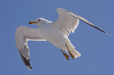 Similar image 2891145