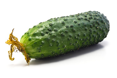 Similar image 2891171