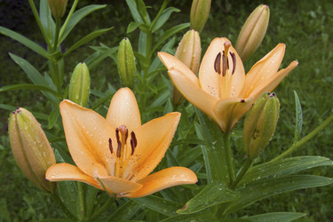 Similar image 2891200