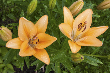 Similar image 2891201