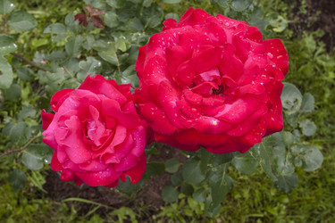 Similar image 2891207