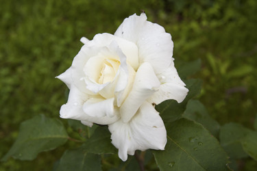 Similar image 2891209