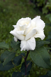 Similar image 2891210