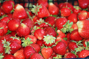 Similar image 2891290