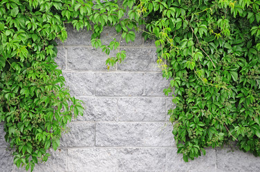 Similar image 2891303