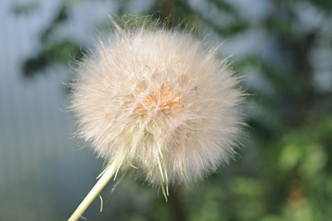 Similar image 2891305