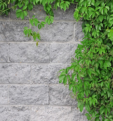 Similar image 2891307